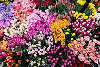 《边缘世界》官宣Steam国区涨价：跨区购买多数都是欺诈行为