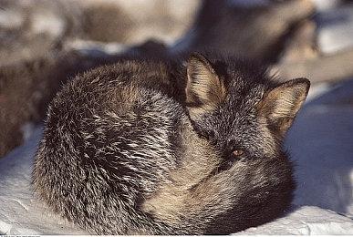 摩托越野游戏《Overpass 2》实机 支持简中